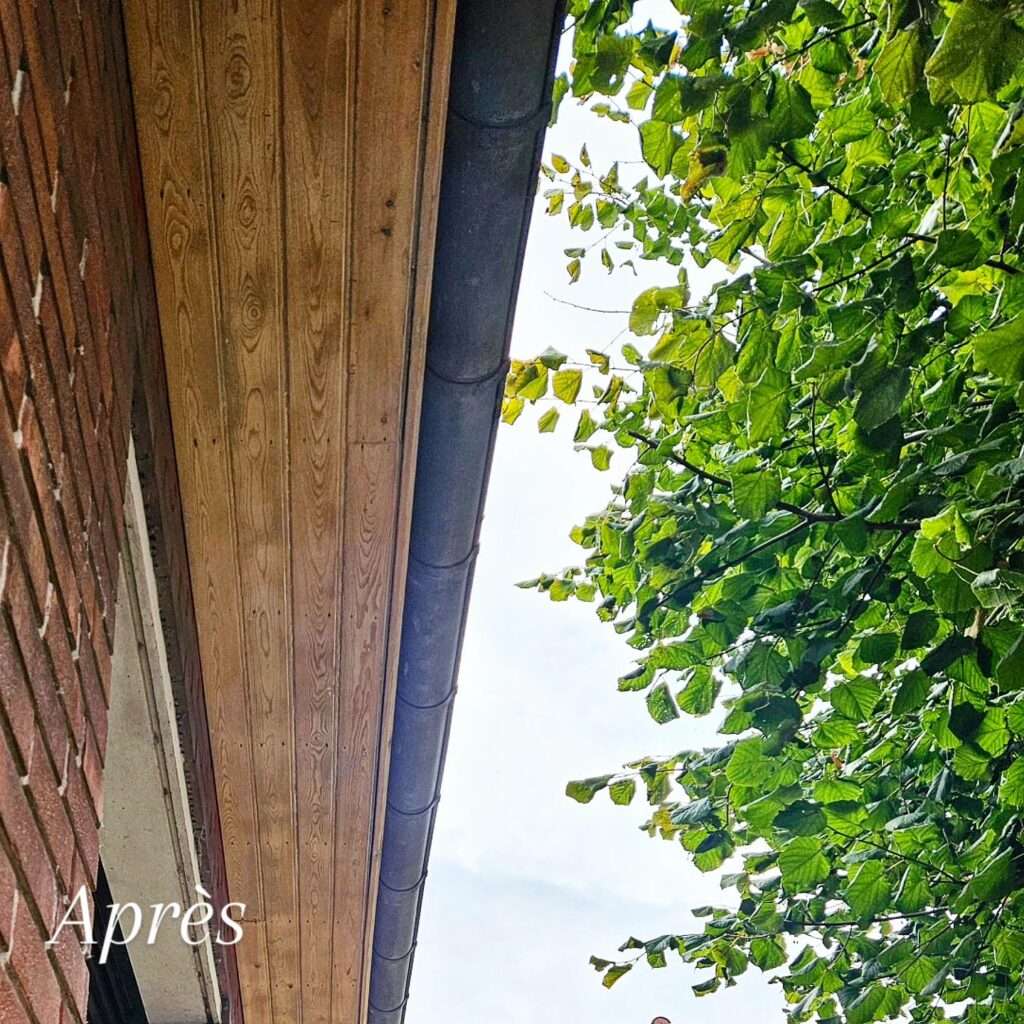 540975248 749582517834136 3119092566682159684 n